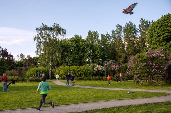 Цветение сирени в Москве