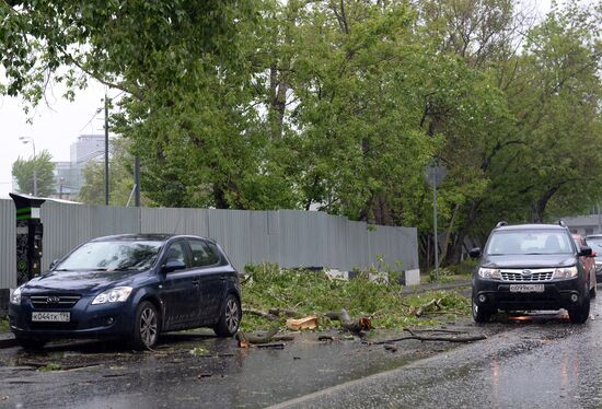 Последствия урагана в Москве