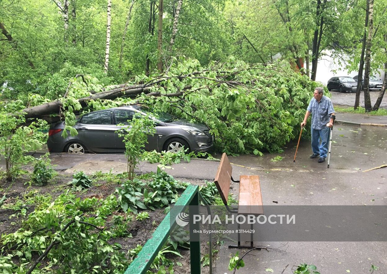 Последствия урагана в Москве