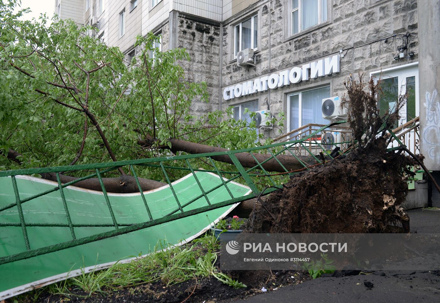 Последствия урагана в Москве