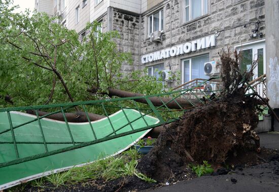 Последствия урагана в Москве