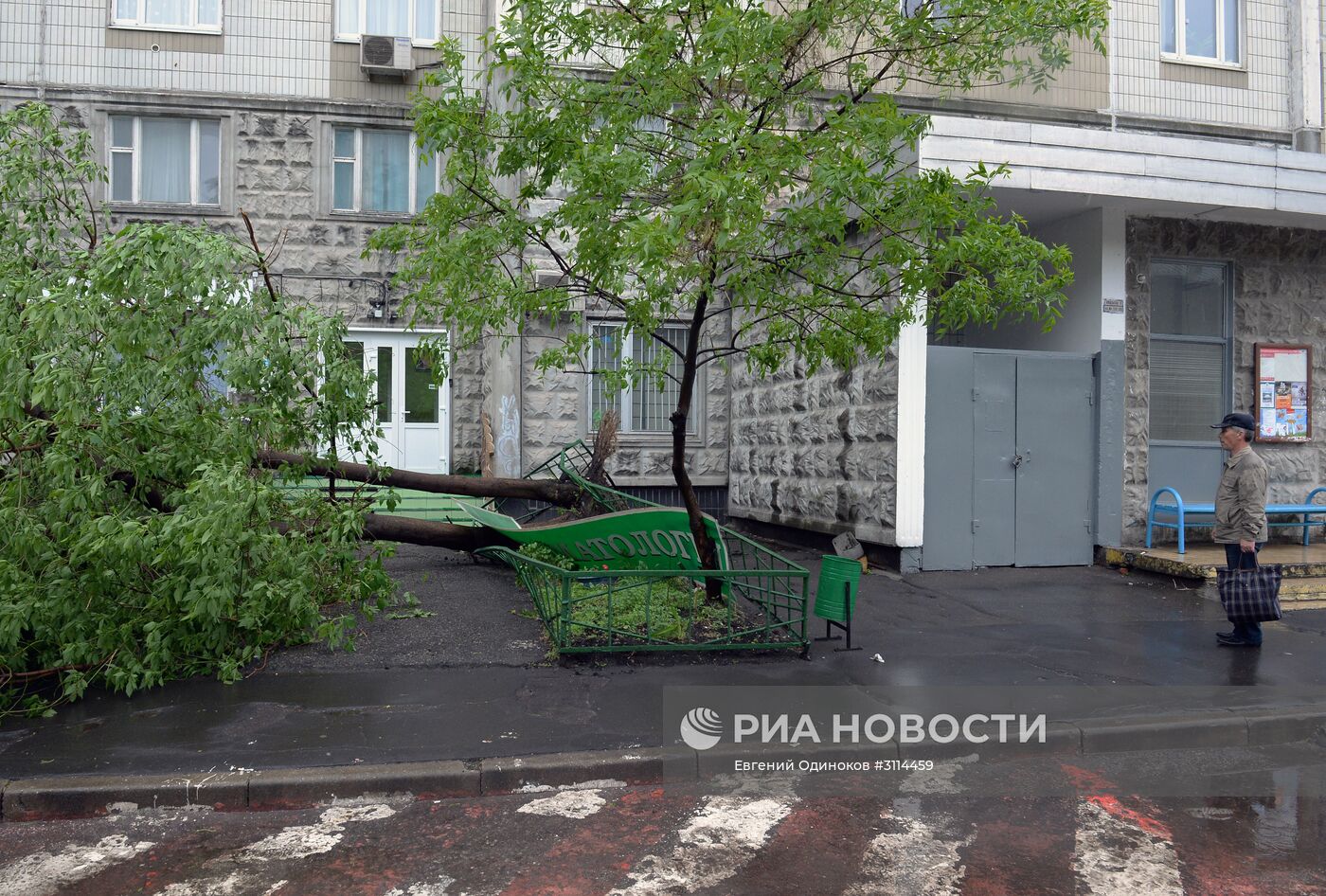 Последствия урагана в Москве