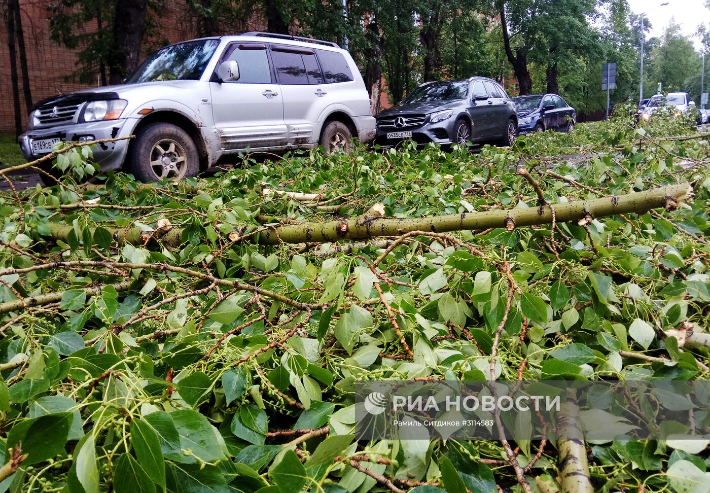 Последствия урагана в Москве