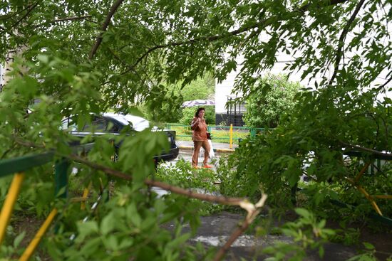 Последствия урагана в Москве