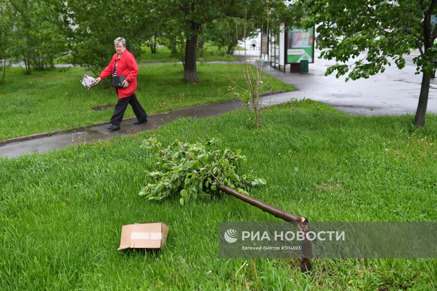 Последствия урагана в Москве