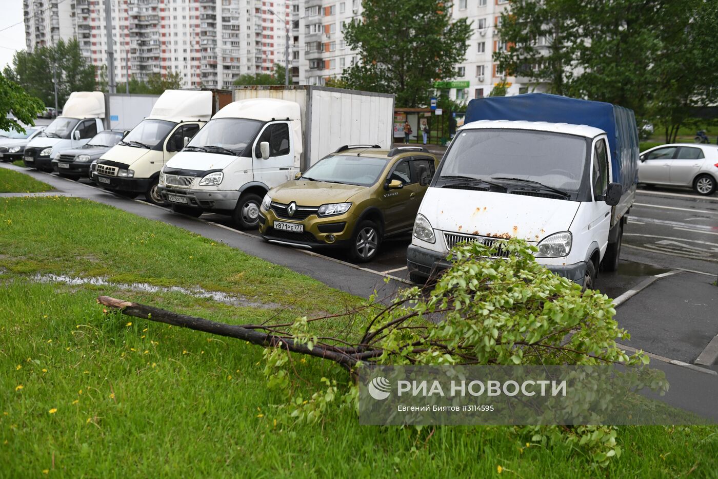 Последствия урагана в Москве