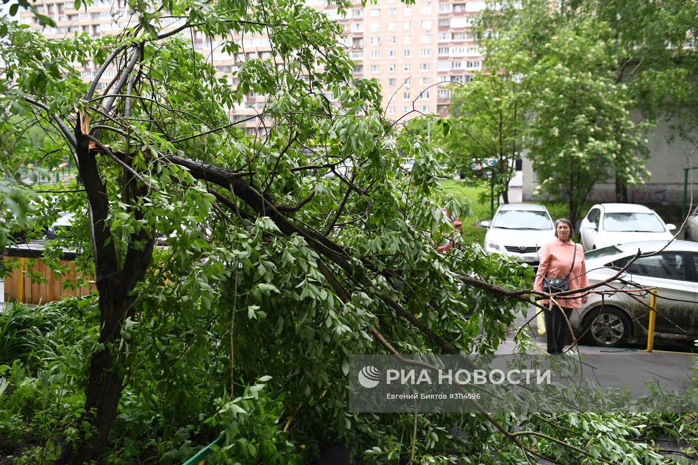 Последствия урагана в Москве