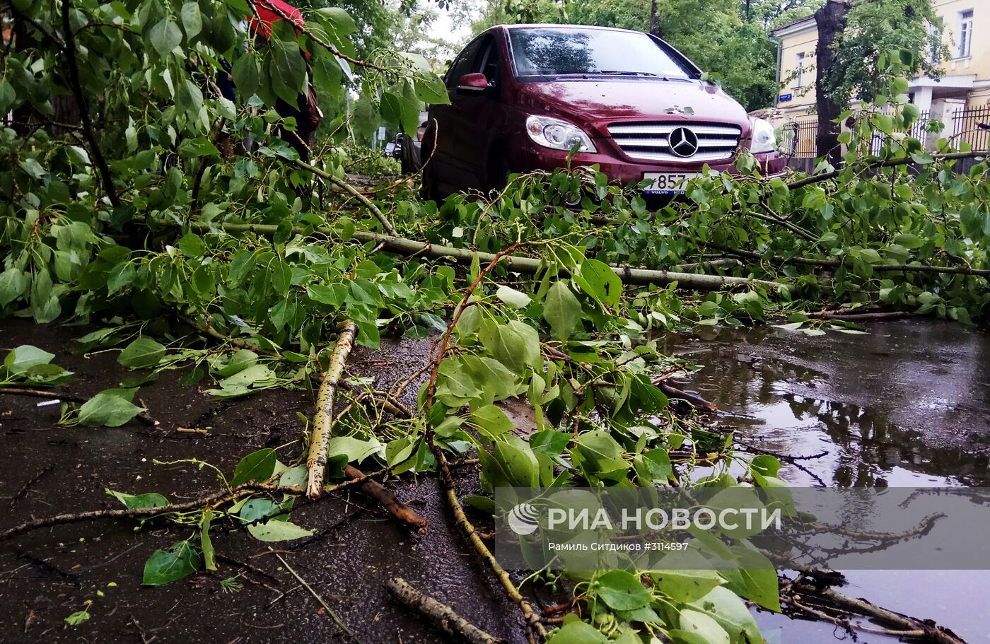 Последствия урагана в Москве