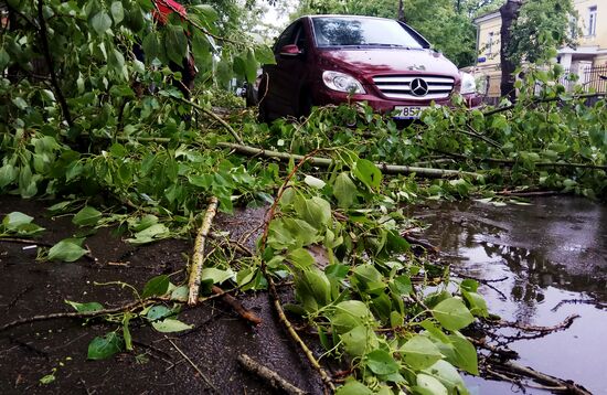 Последствия урагана в Москве