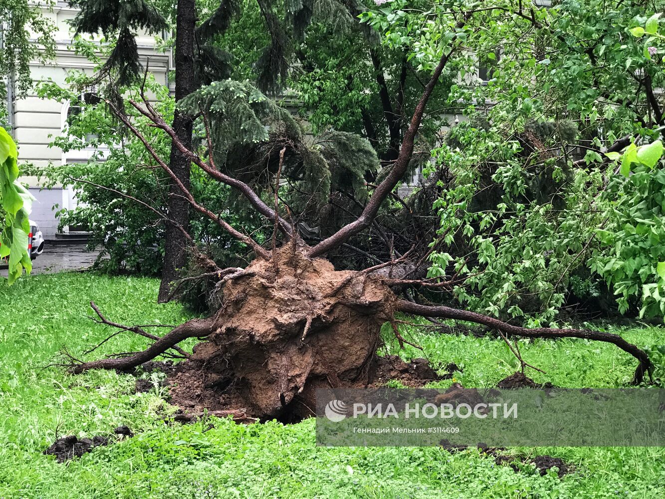 Последствия урагана в Москве