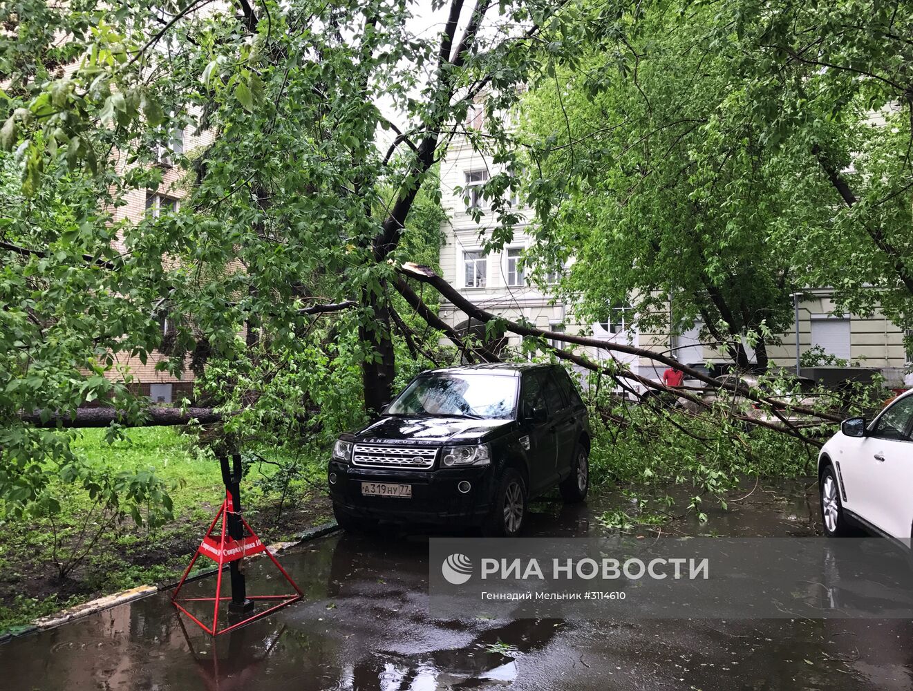 Последствия урагана в Москве