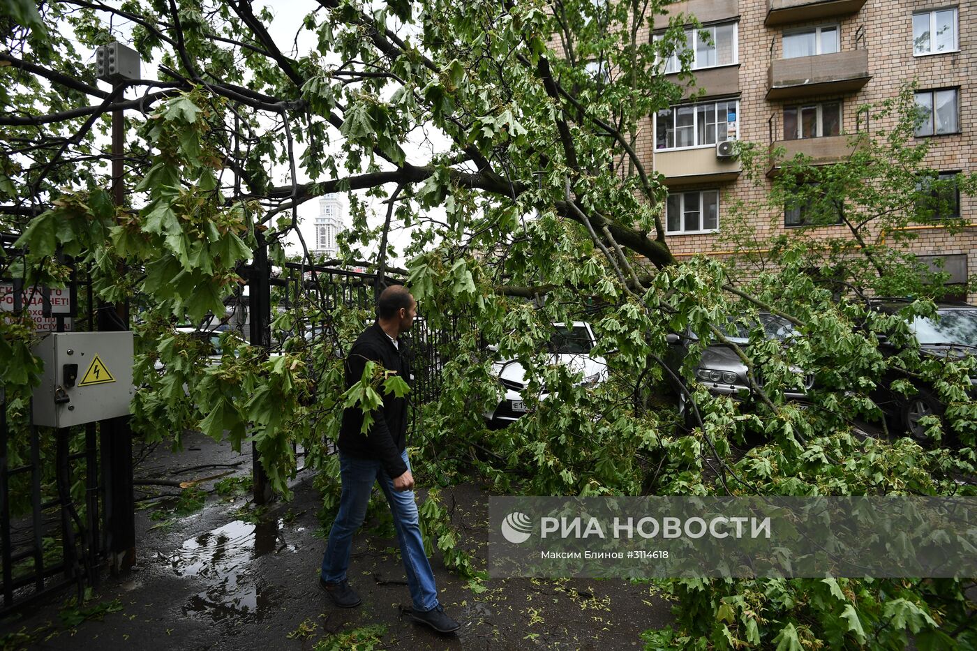 Последствия урагана в Москве