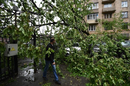 Последствия урагана в Москве
