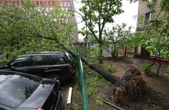 Последствия урагана в Москве