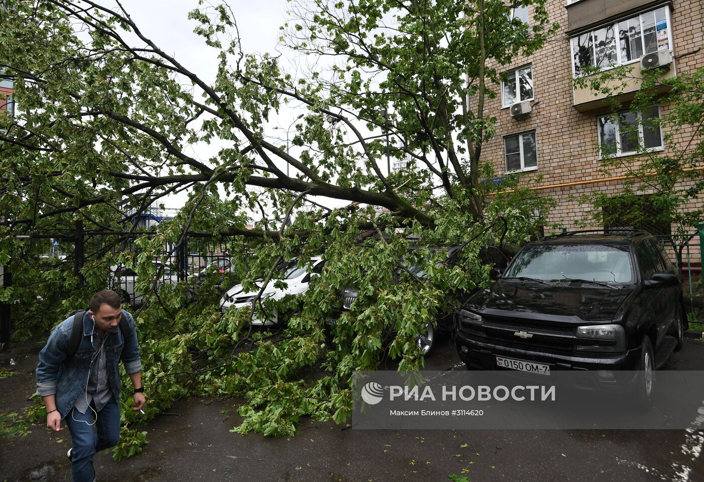 Последствия урагана в Москве