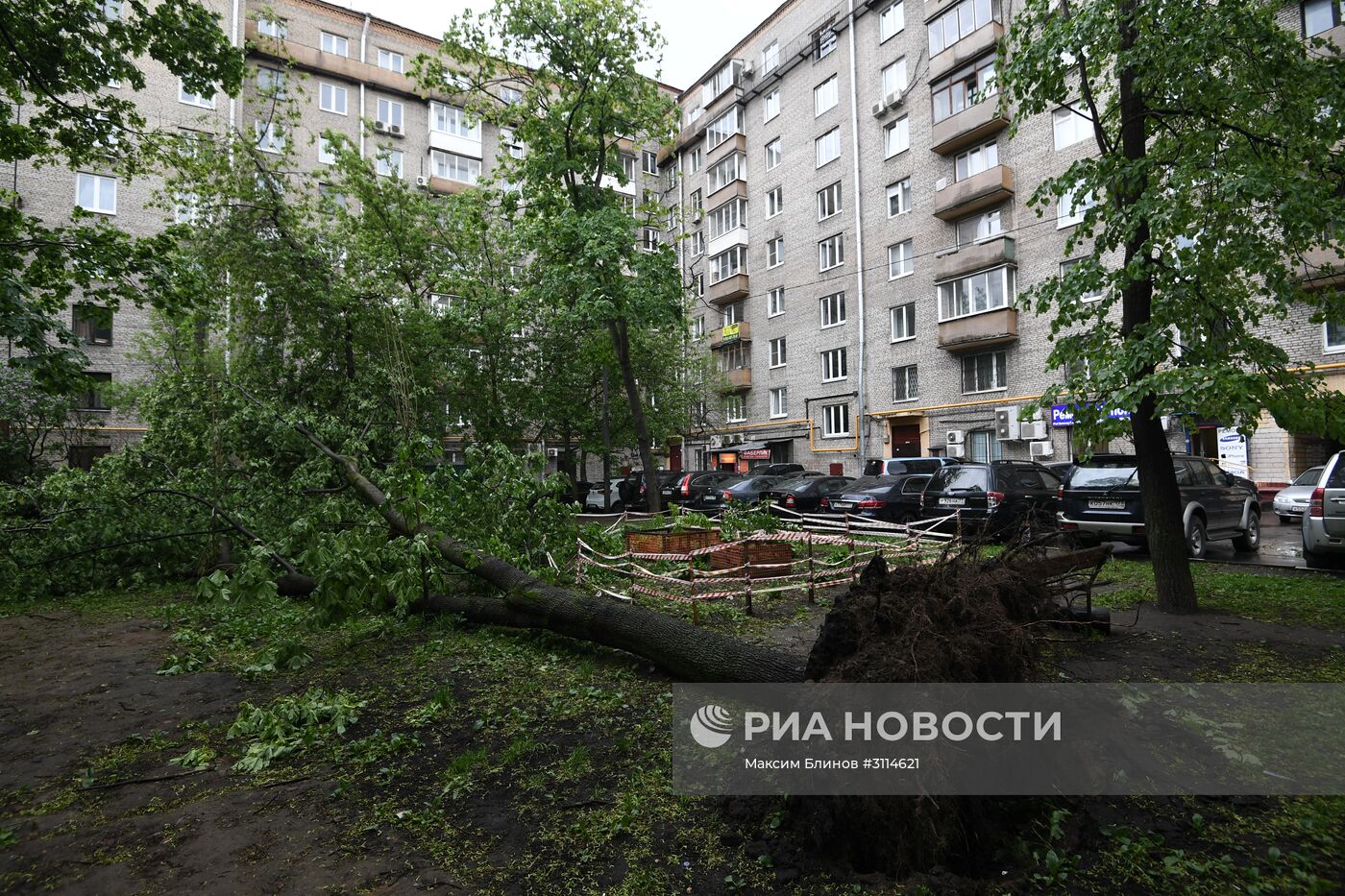 Последствия урагана в Москве