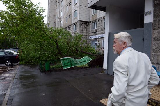 Последствия урагана в Москве