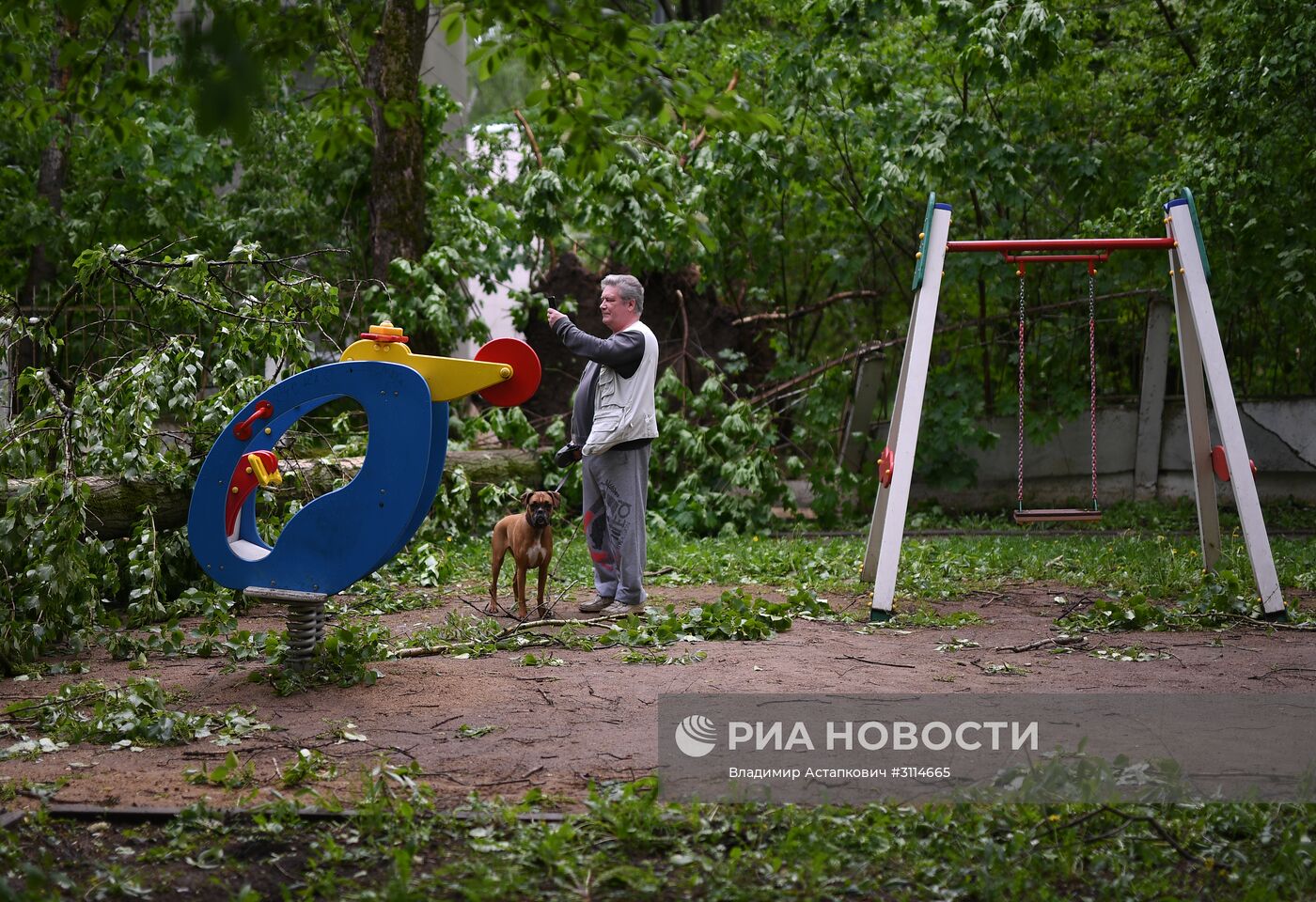 Последствия урагана в Москве