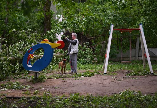 Последствия урагана в Москве