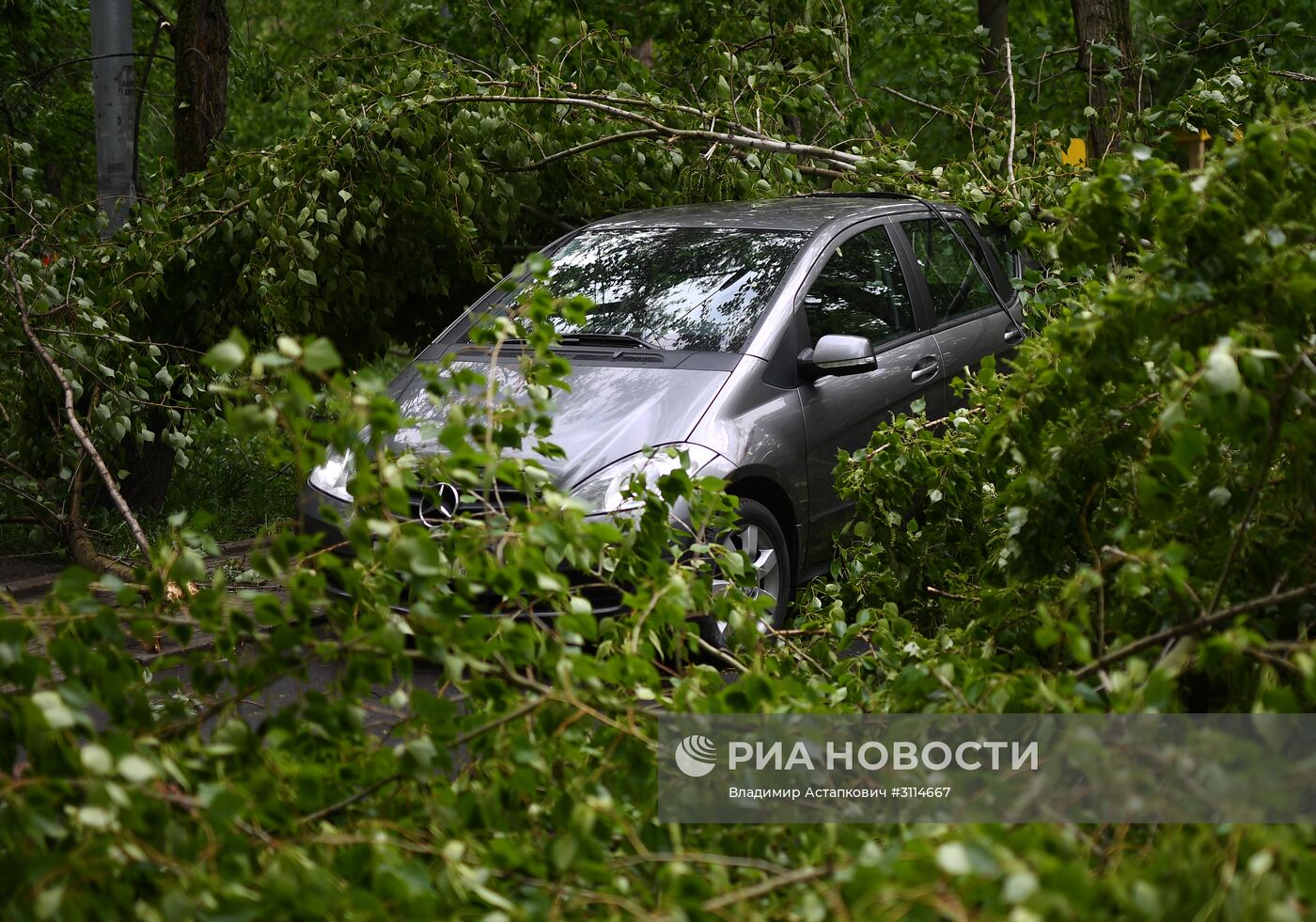 Последствия урагана в Москве