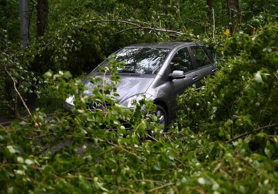 Последствия урагана в Москве