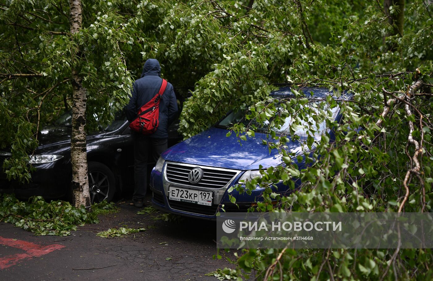 Последствия урагана в Москве