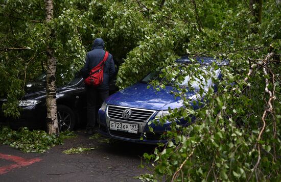 Последствия урагана в Москве