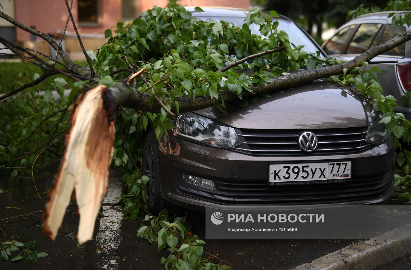 Последствия урагана в Москве