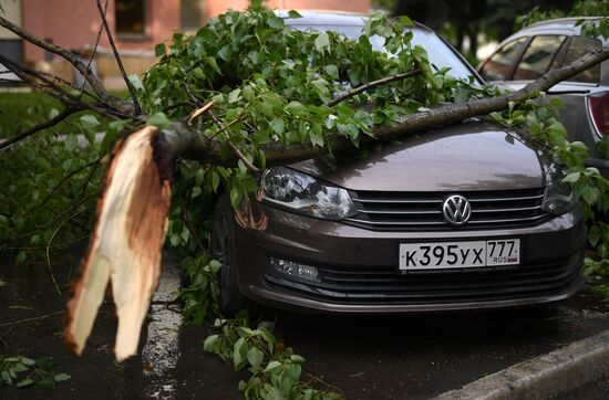Последствия урагана в Москве