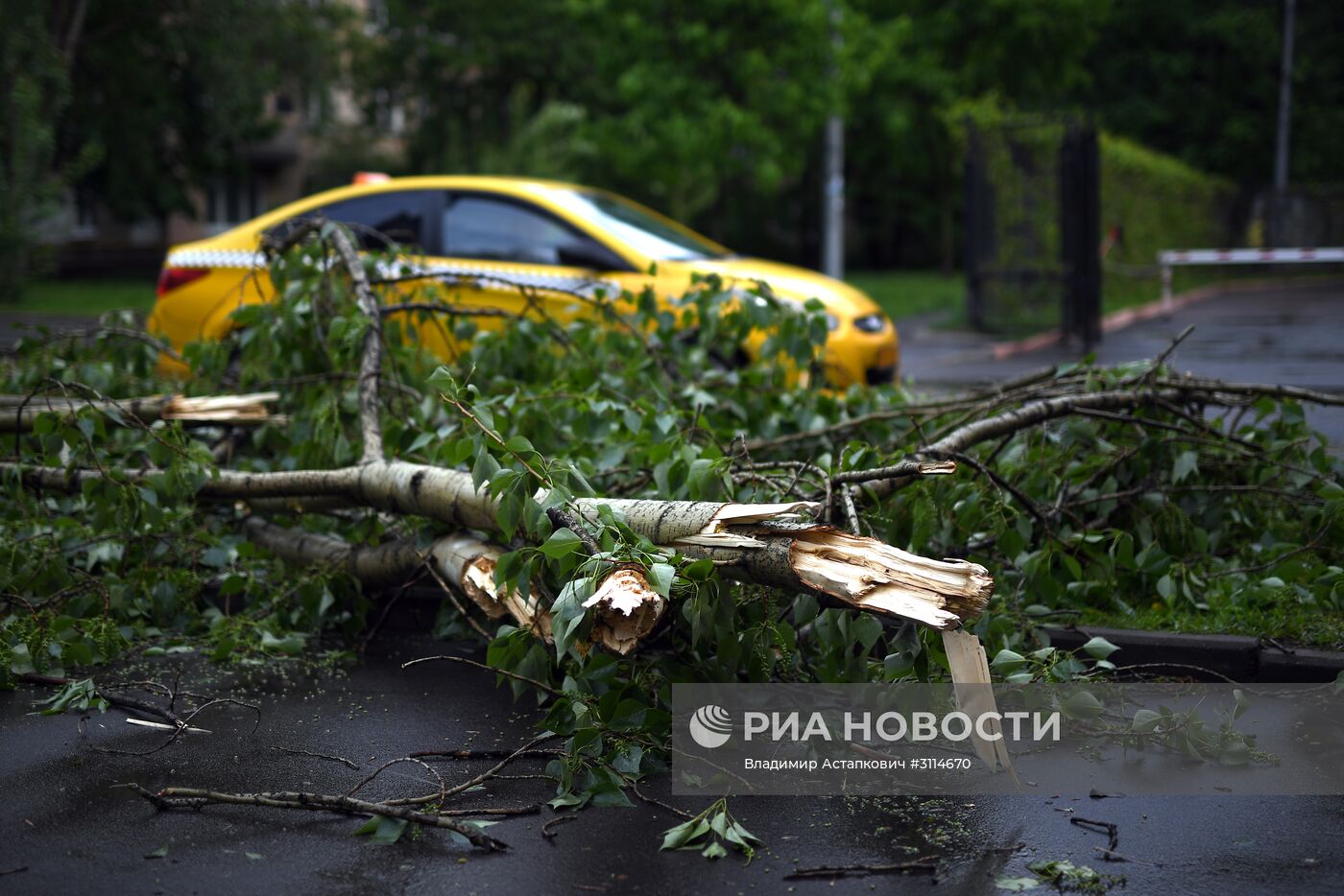 Последствия урагана в Москве