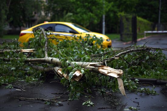Последствия урагана в Москве