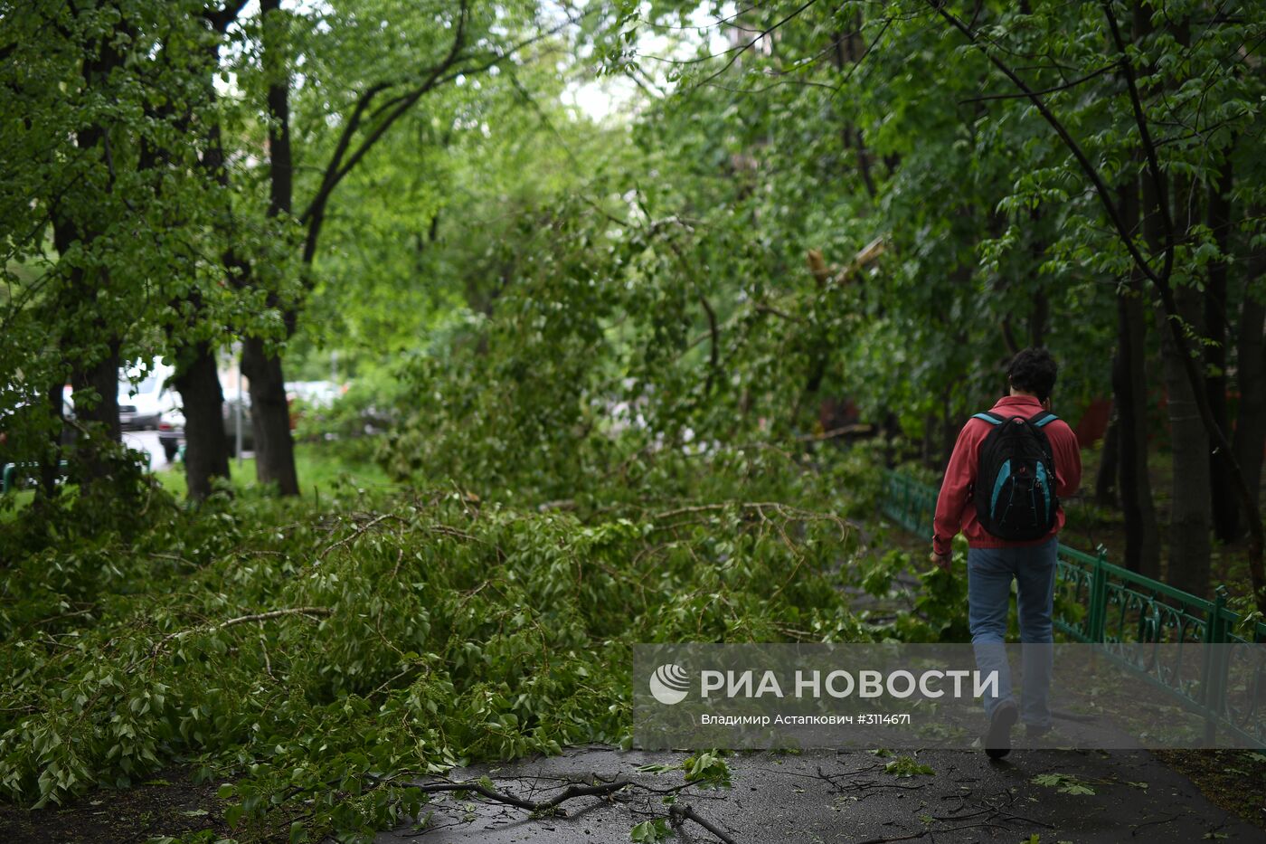 Последствия урагана в Москве
