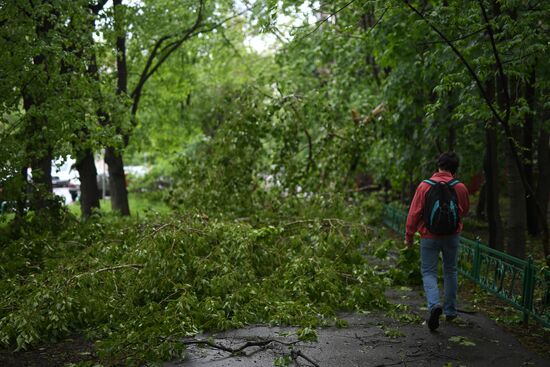 Последствия урагана в Москве