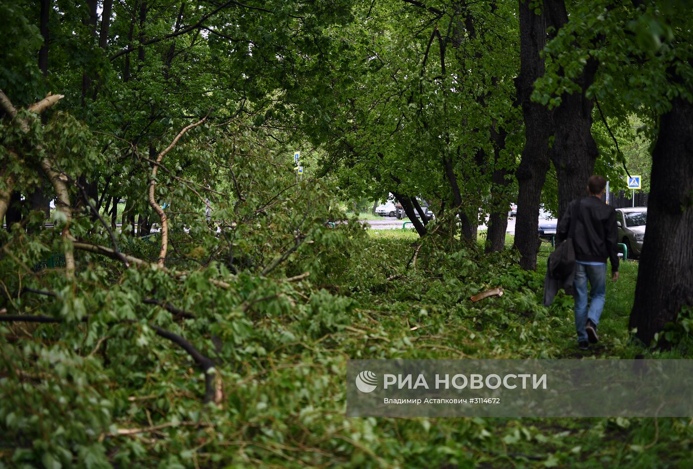 Последствия урагана в Москве