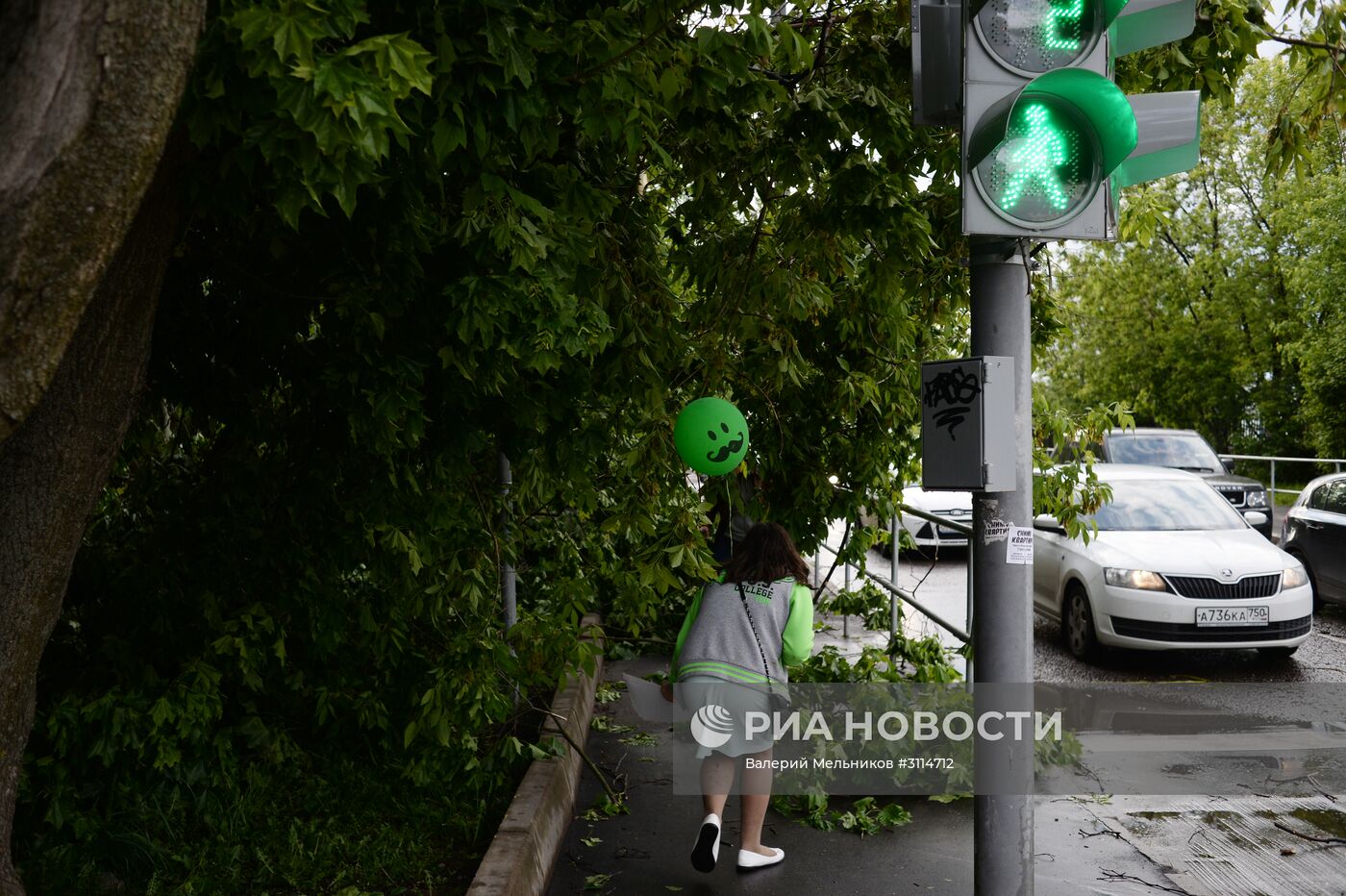 Последствия урагана в Москве