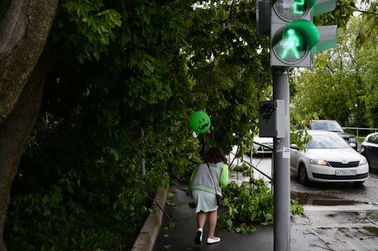 Последствия урагана в Москве