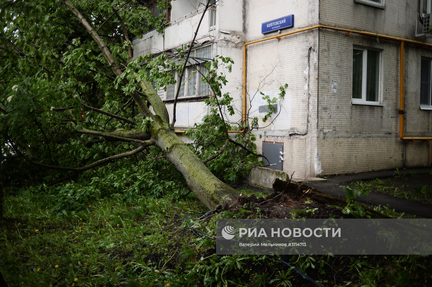 Последствия урагана в Москве