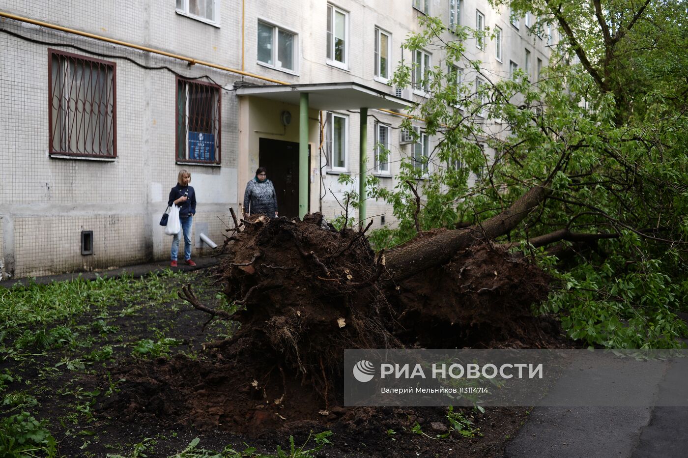 Последствия урагана в Москве