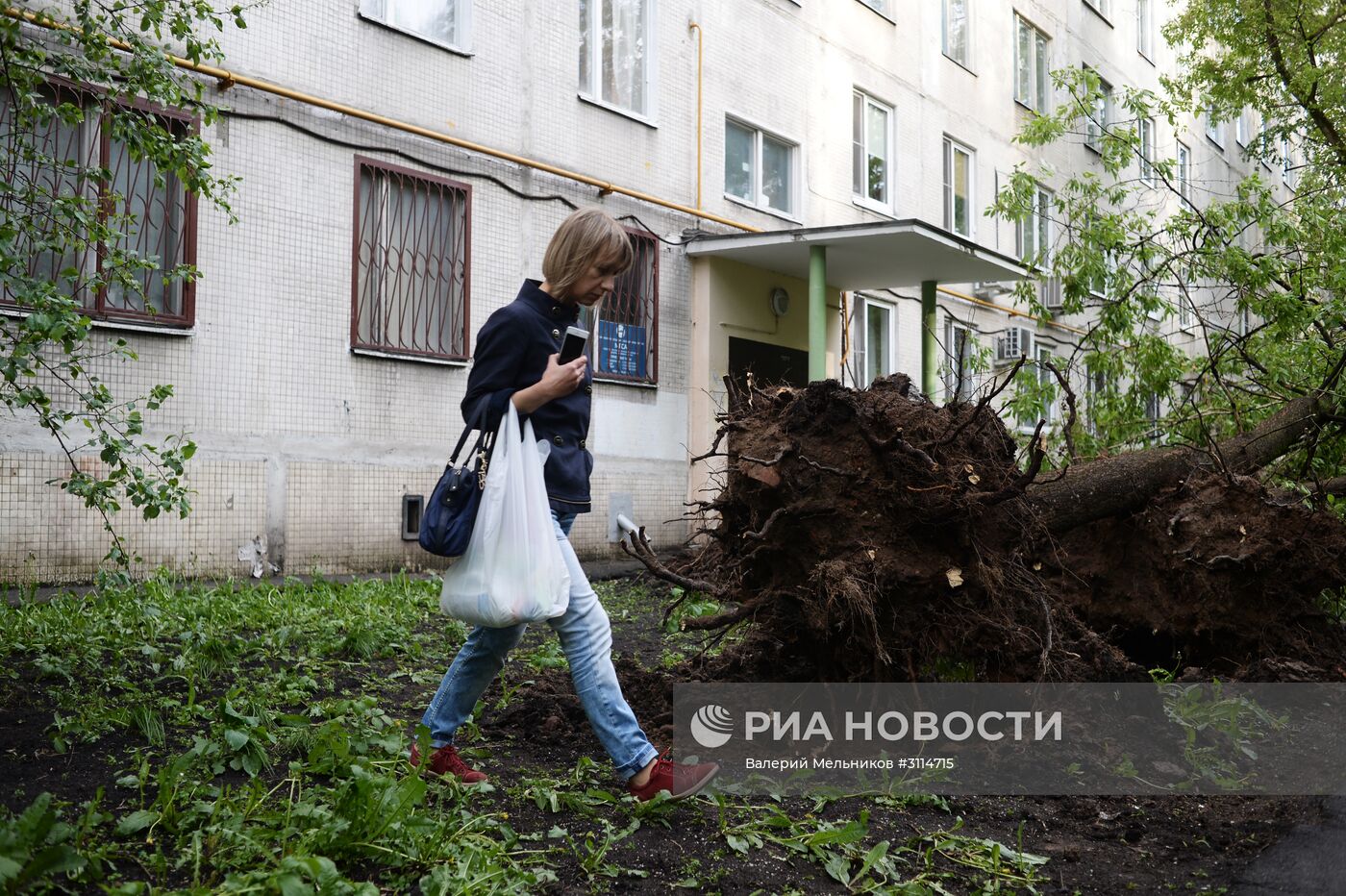 Последствия урагана в Москве