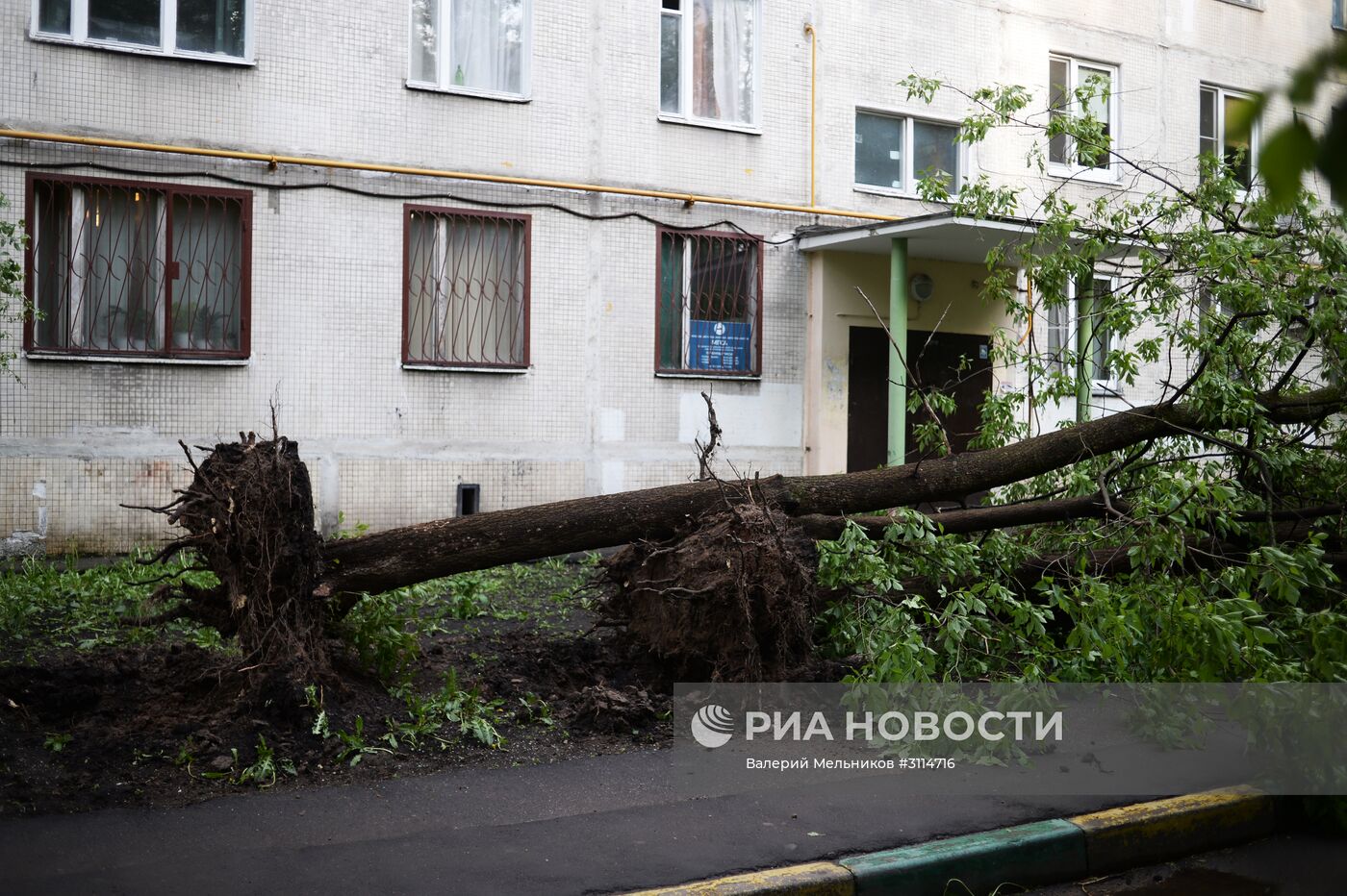 Последствия урагана в Москве