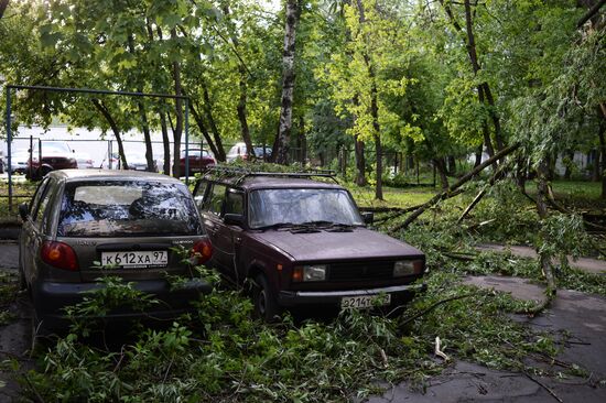 Последствия урагана в Москве