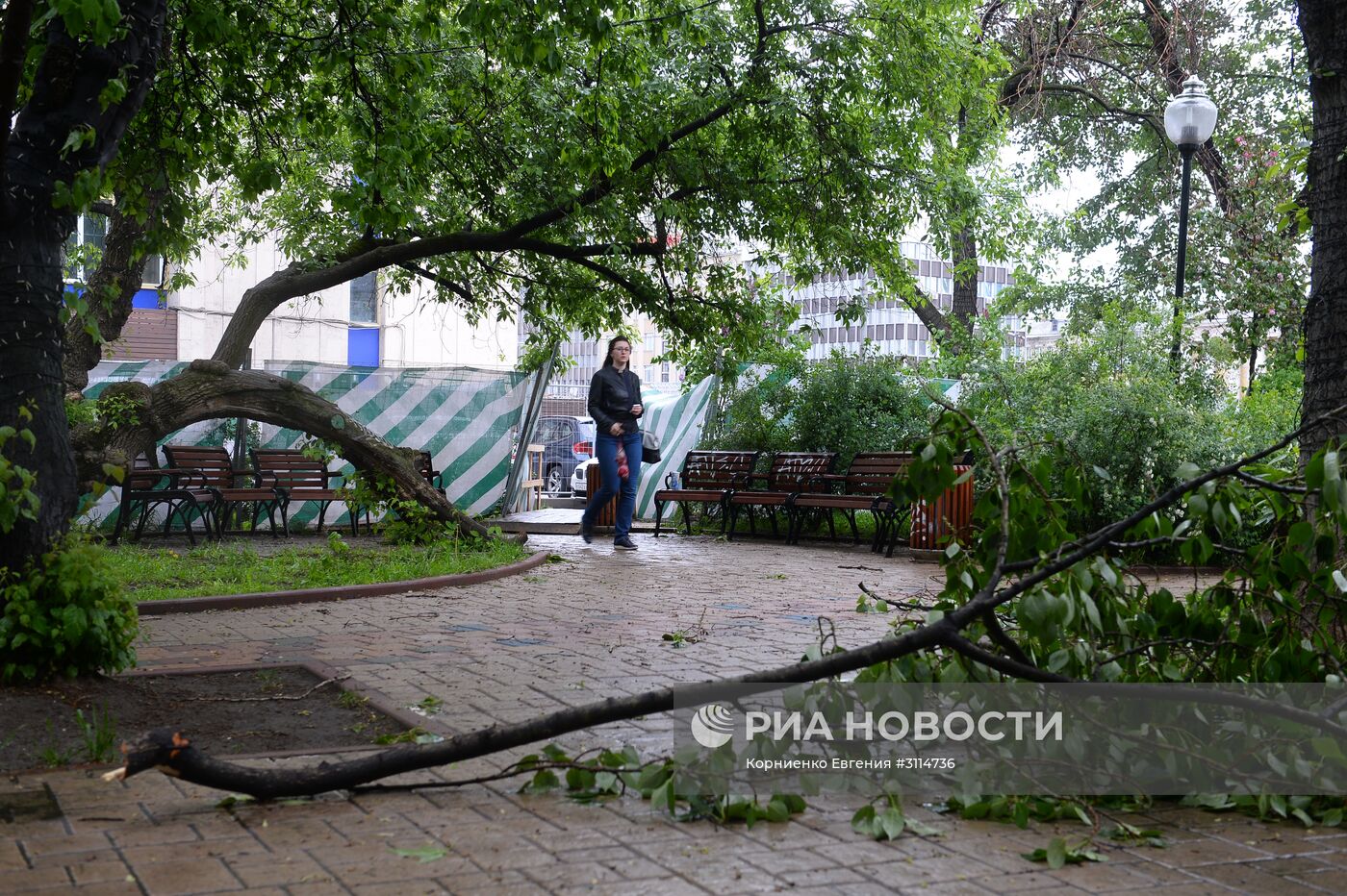 Последствия урагана в Москве