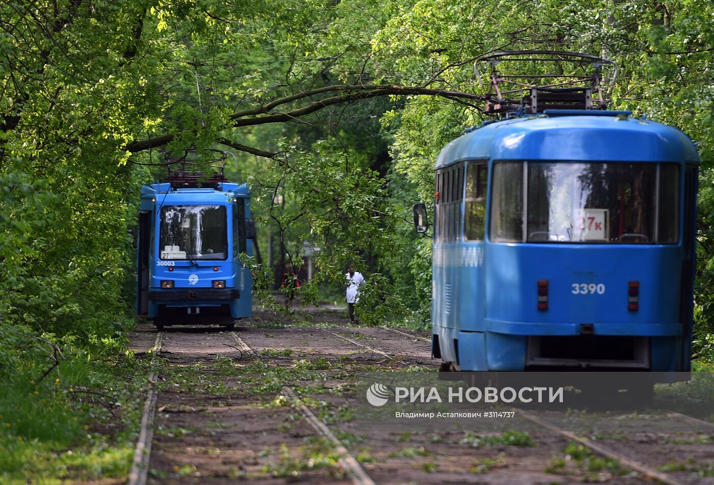Последствия урагана в Москве