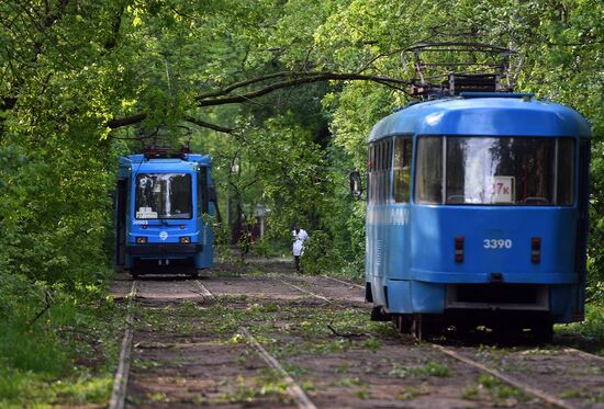 Последствия урагана в Москве