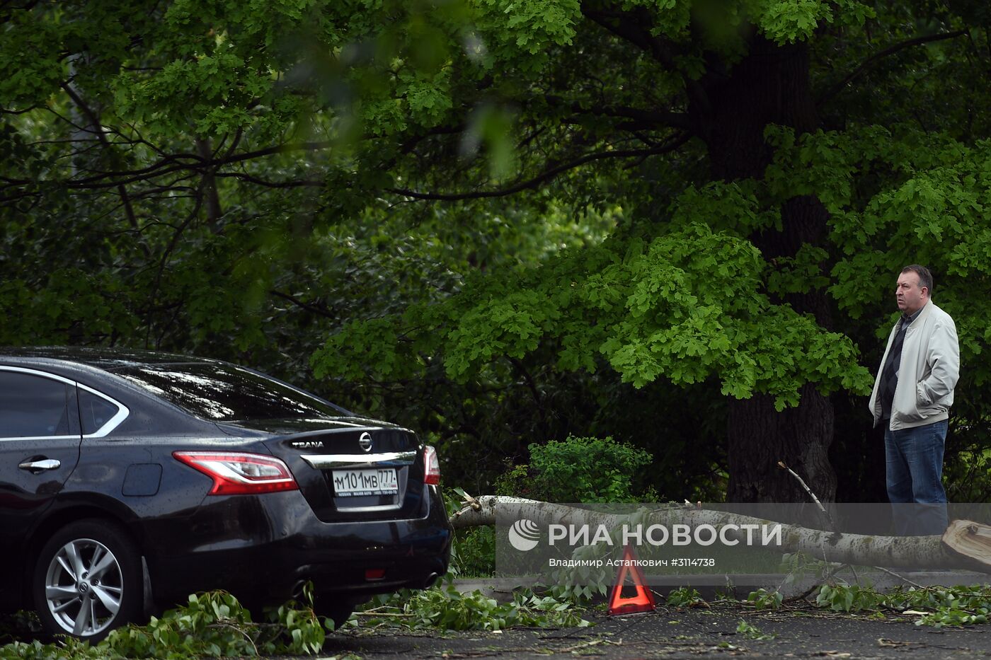 Последствия урагана в Москве