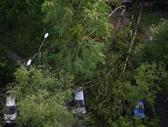 Последствия урагана в Москве