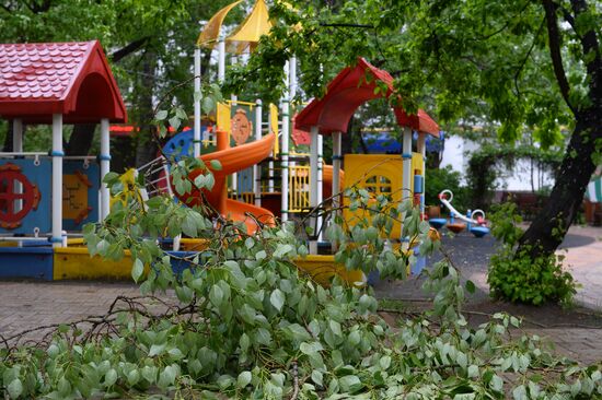 Последствия урагана в Москве