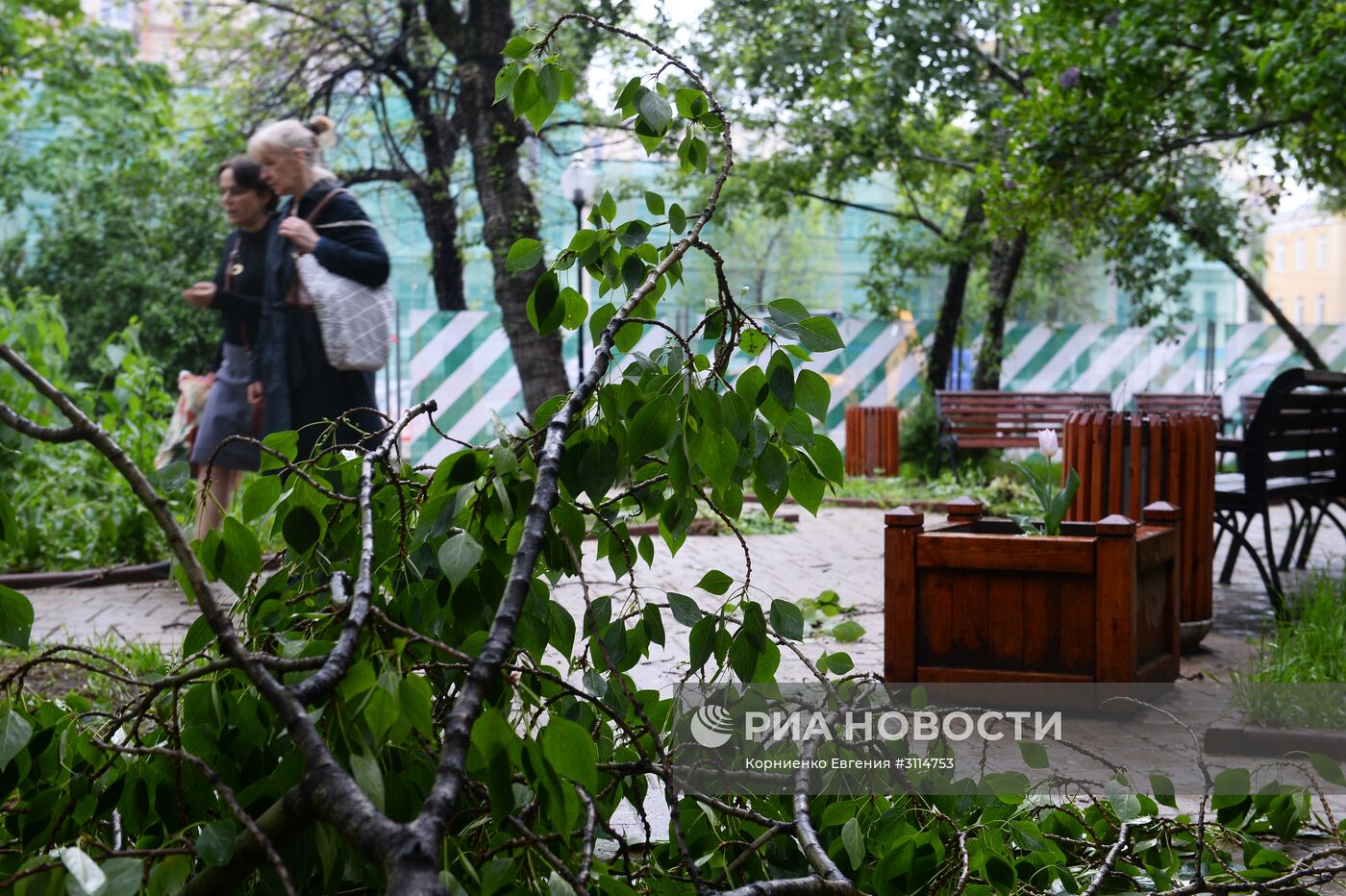 Последствия урагана в Москве