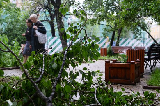 Последствия урагана в Москве