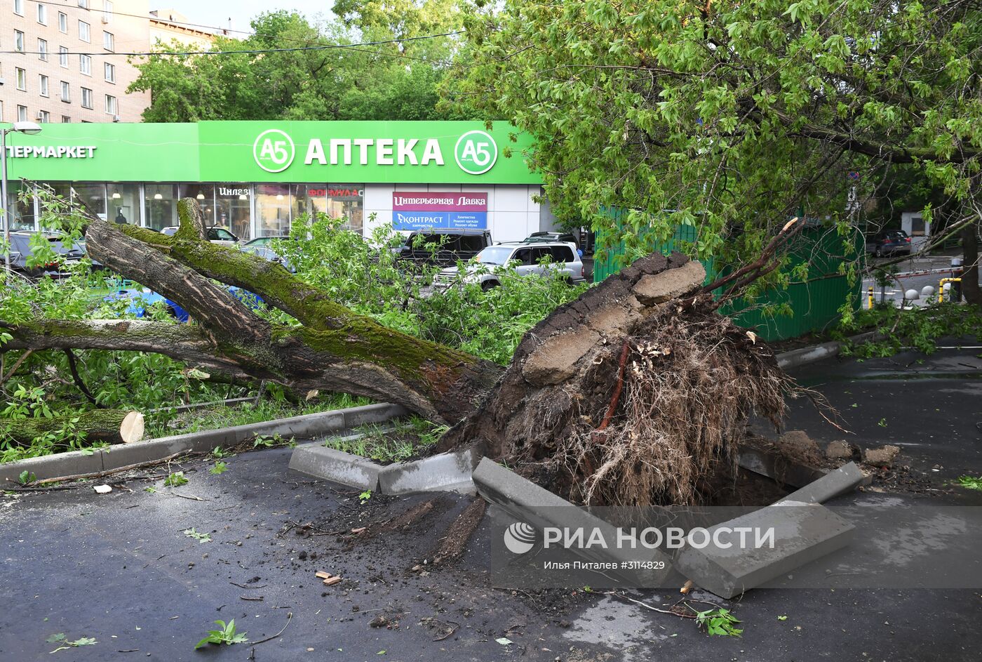 Последствия урагана в Москве